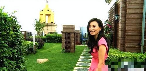 张庭夫妇是谁爆料的视频,娱乐圈背后的惊人真相  第2张